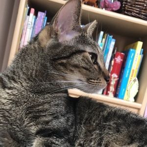 Meet your Posher, Tessa
